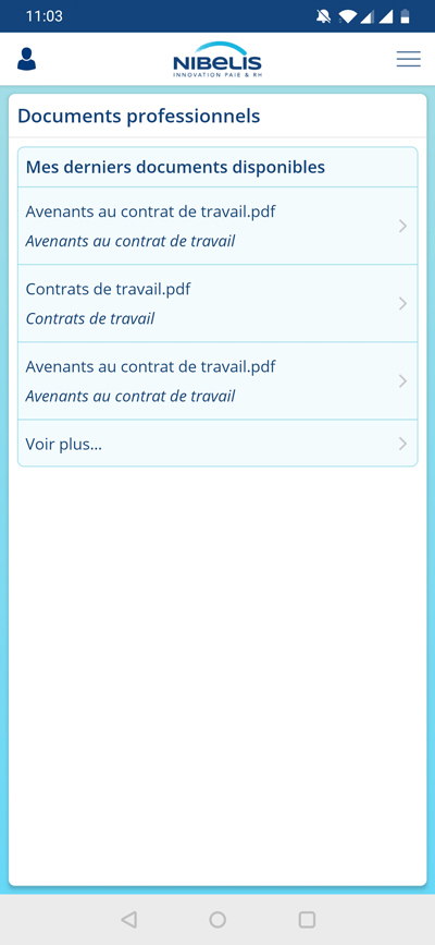 Screenshot-Accessibilite